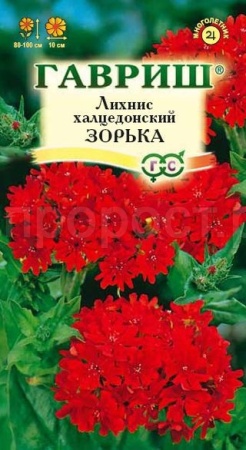 Лихнис Халцедонский Зорька 0,1г 
