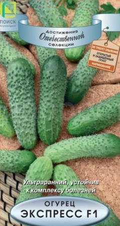 Огурец Экспресс F1 12шт
