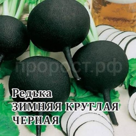Редька Зимняя круглая черная 25г