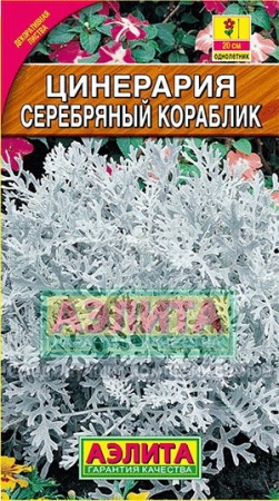 Цинерария Серебряный кораблик 0,05г