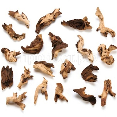 Африканское дерево Мопани 10см 10кг NATURAL 002/Салекс