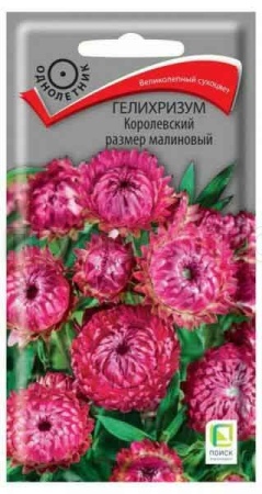 Гелихризум Королевский размер малиновый 0,1г