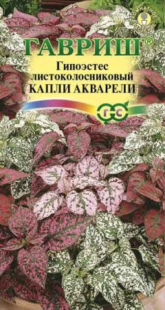 Гипоэстес Капли акварели 4 шт