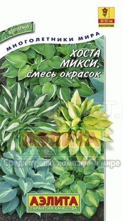 Хоста Микси, смесь окрасок 7шт
