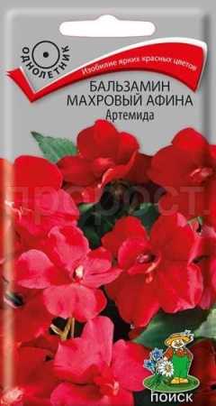 Бальзамин махровый Афина Артемида 5шт